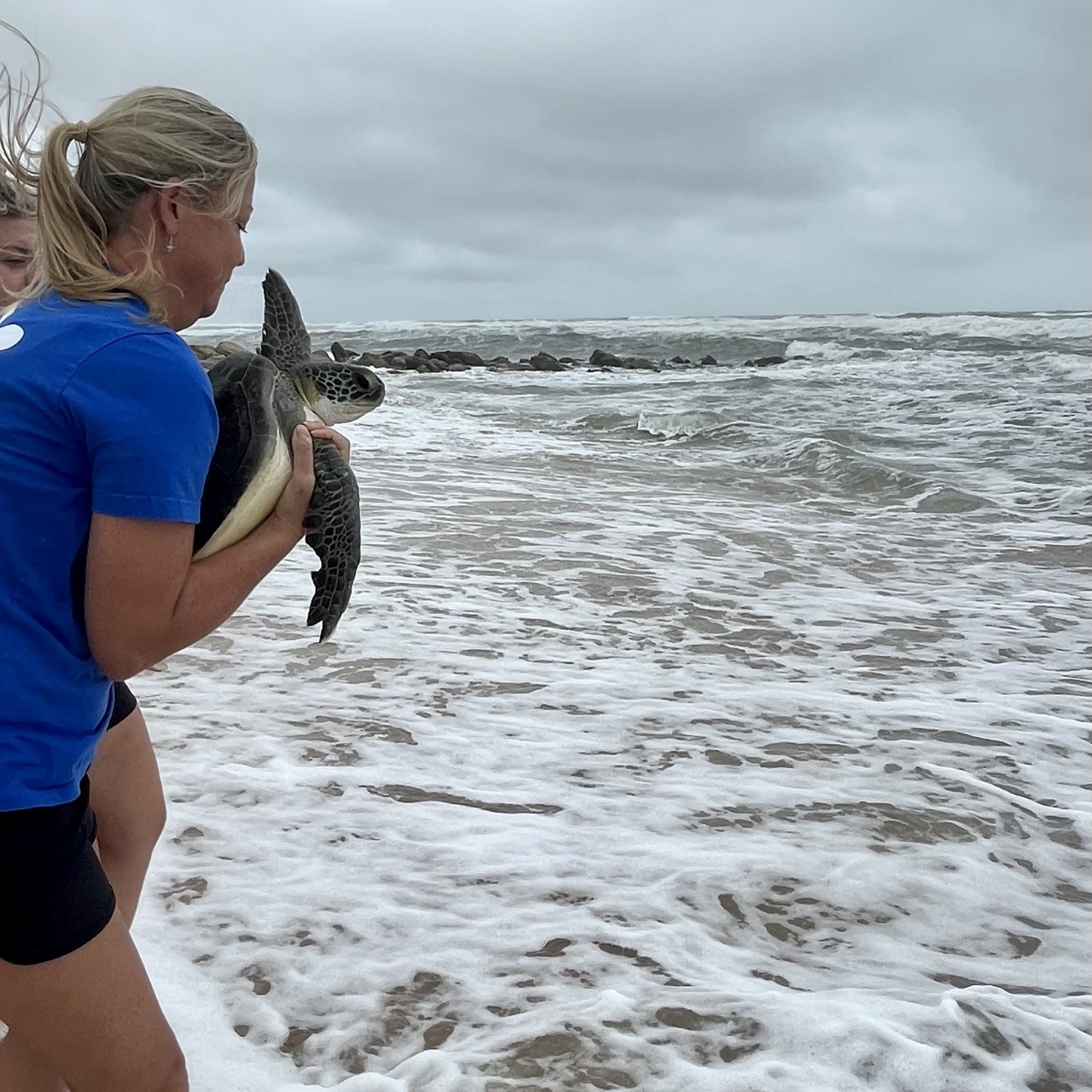 Sea Turtle Abu Released